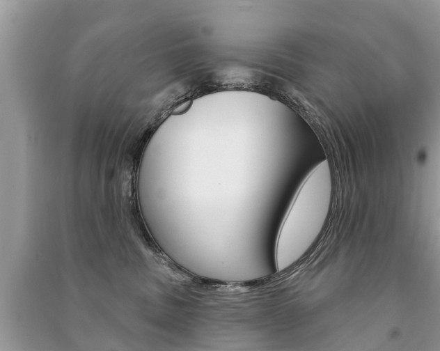 X0000091290379200708101031