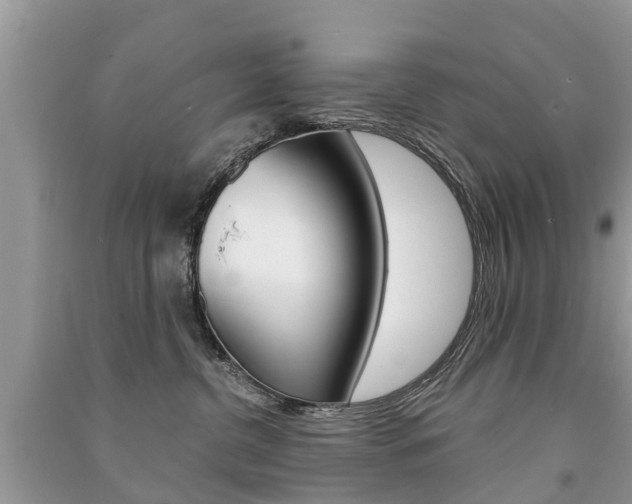 X0000091290380200708101031