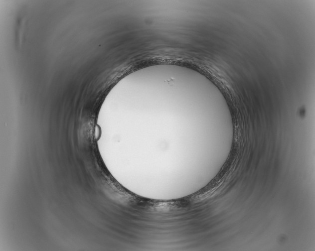 X0000091290382200708101031
