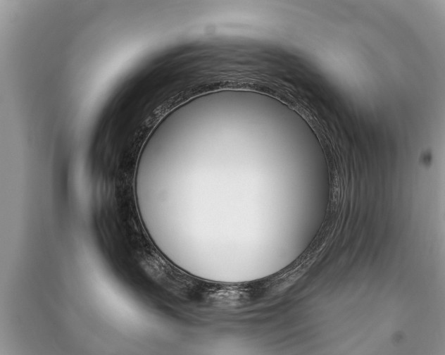 X0000091290383200708101031