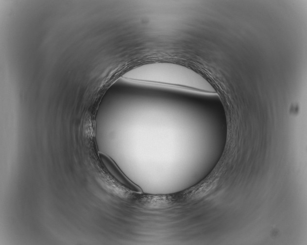 X0000091290384200708101031