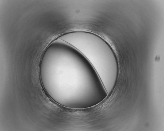 X0000091290385200708101031