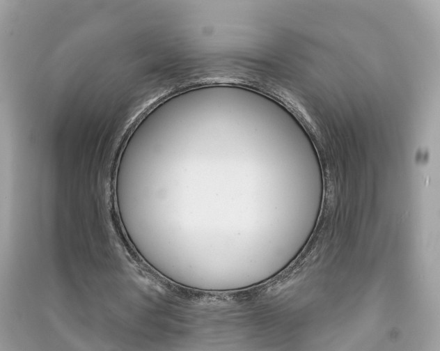 X0000091290386200708101031