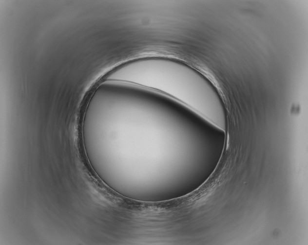 X0000091290387200708101031