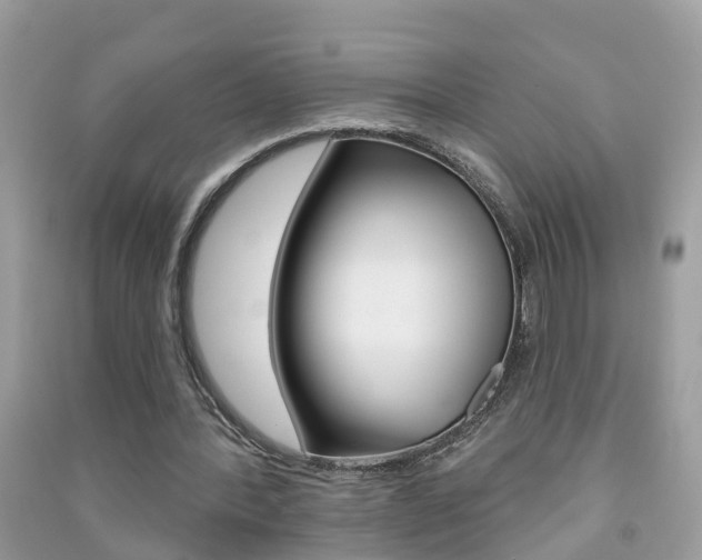 X0000091290388200708101031