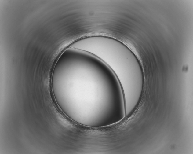 X0000091290389200708101031