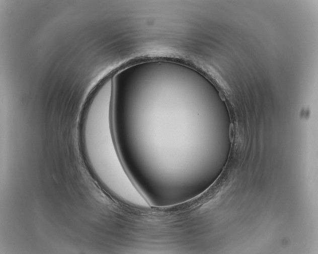 X0000091290391200708101031