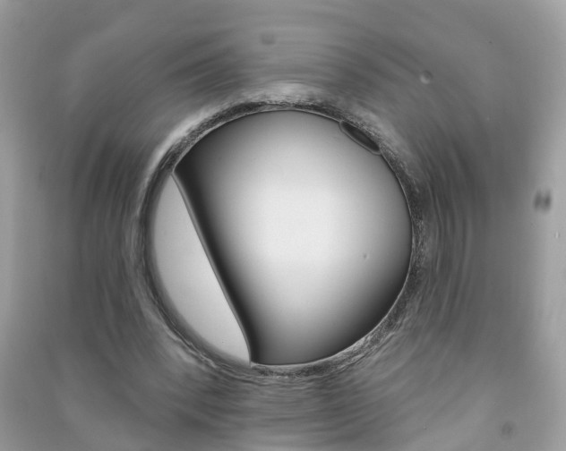 X0000091290392200708101031