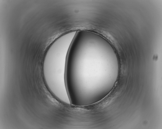 X0000091290393200708101031