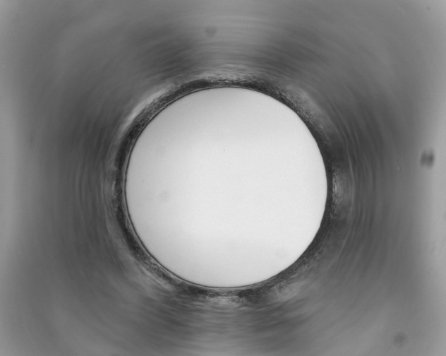 X0000091290396200708101030