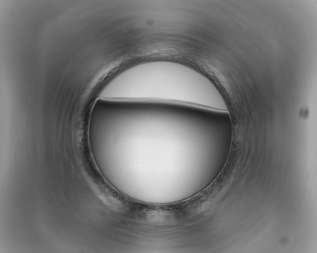 X0000091290400200708101030