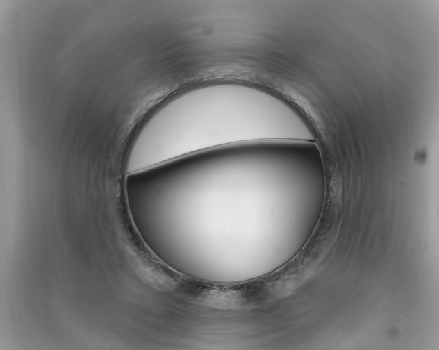 X0000091290403200708101030