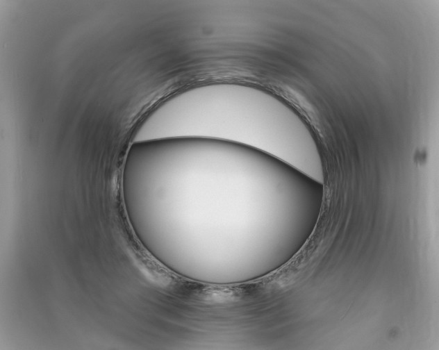 X0000091290405200708101030
