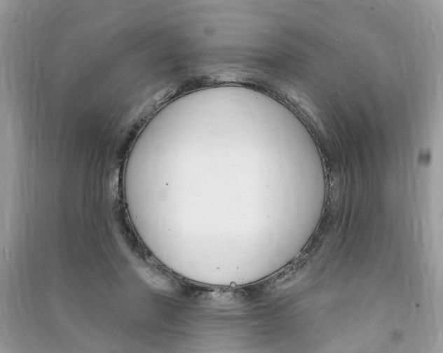 X0000091290406200708101030