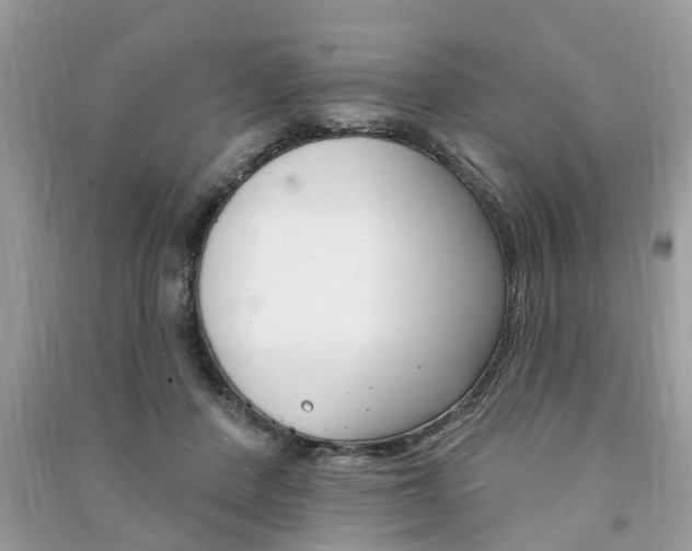X0000091290408200708101030