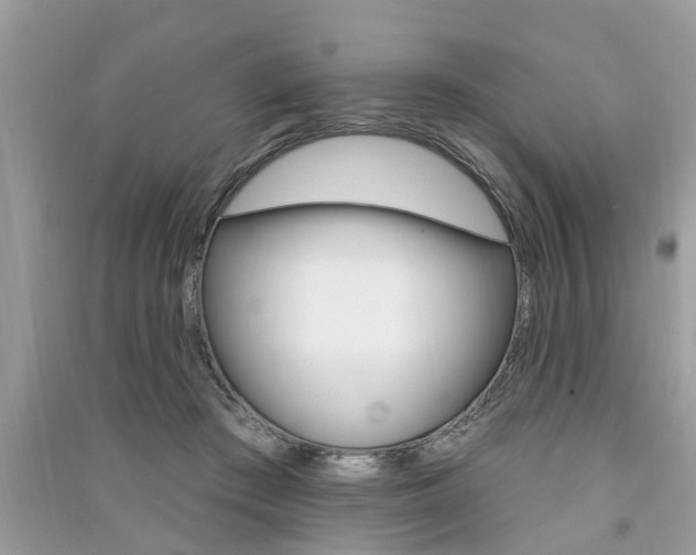 X0000091290409200708101030