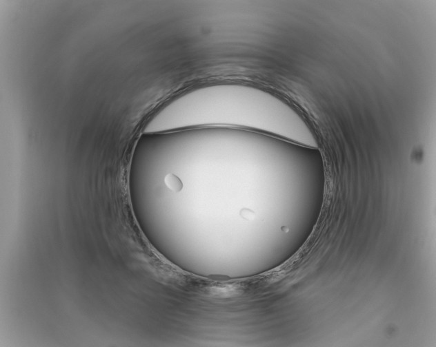 X0000091290411200708101030