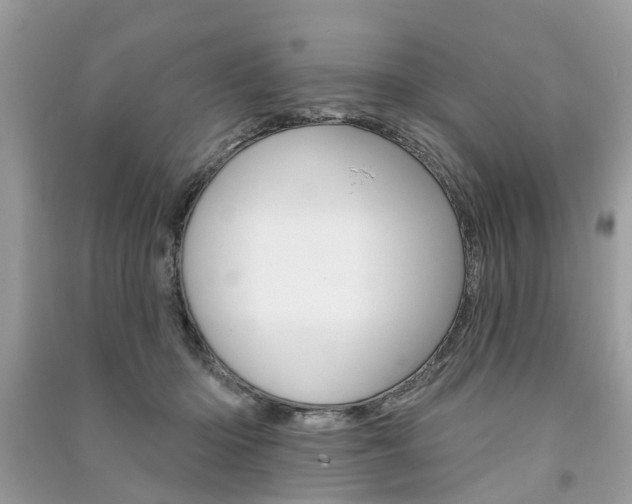 X0000091290414200708101030