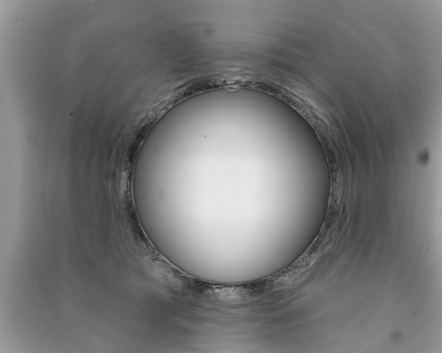 X0000091290417200708101030