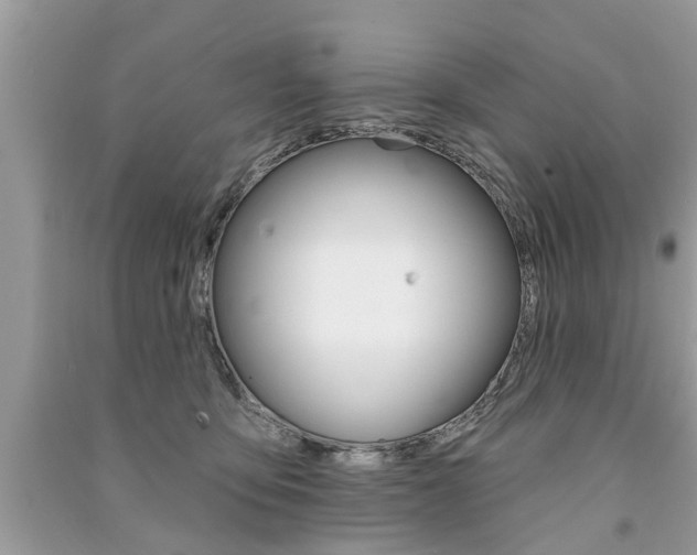 X0000091290419200708101030