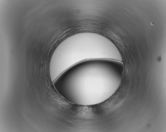 X0000091290421200708101030
