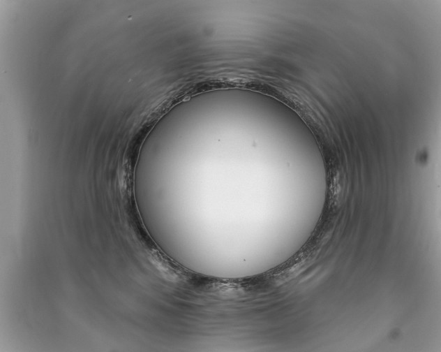 X0000091290424200708101030