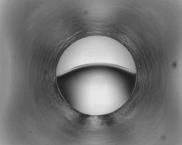 X0000091290425200708101030