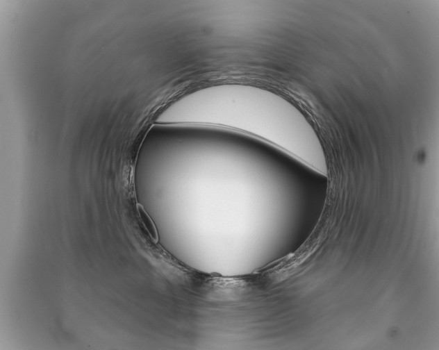 X0000091290429200708101030