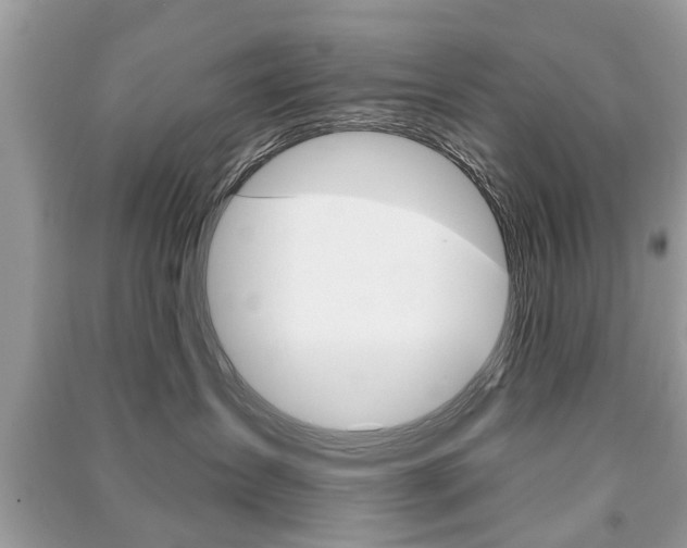 X0000091290431200708101030