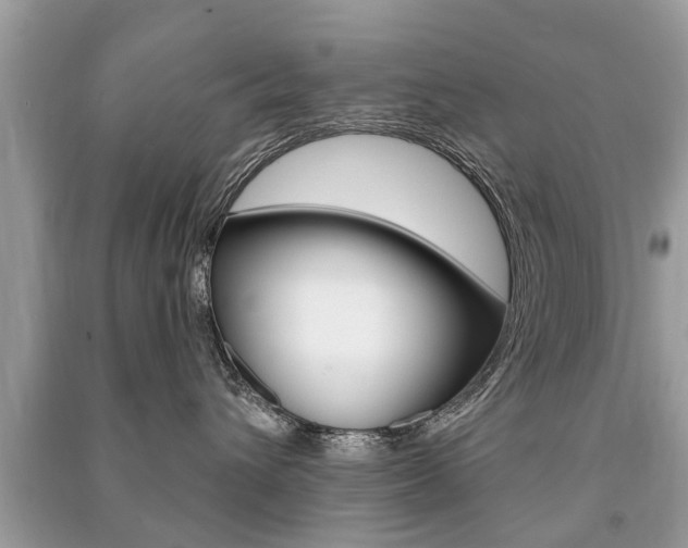 X0000091290432200708101030