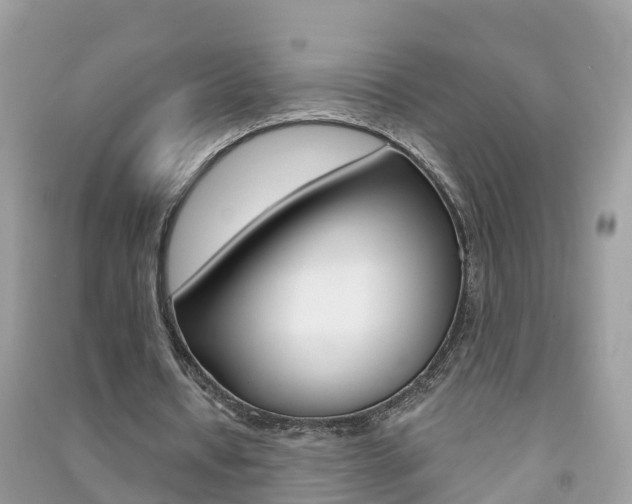 X0000091290434200708101029