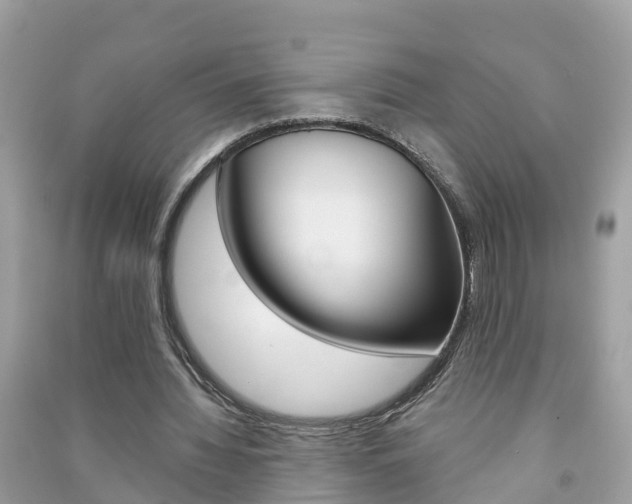 X0000091290436200708101029