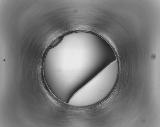 X0000091290437200708101029