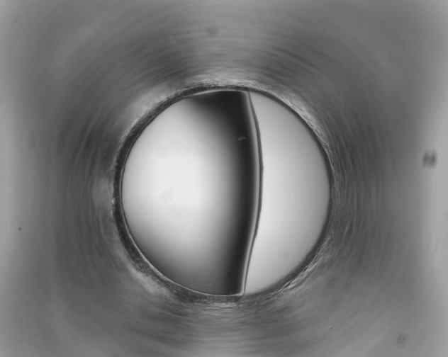 X0000091290438200708101029
