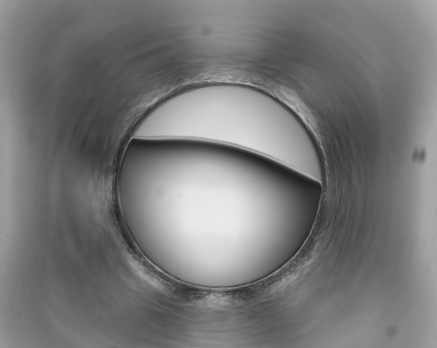 X0000091290441200708101029