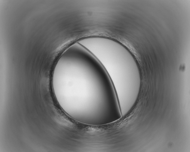X0000091290442200708101029