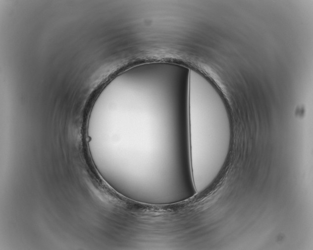 X0000091290443200708101029