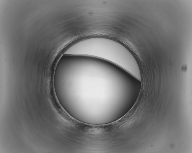X0000091290444200708101029