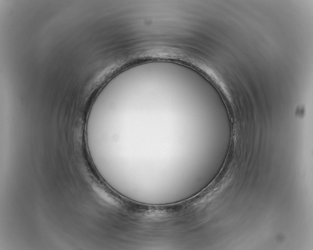 X0000091290445200708101029