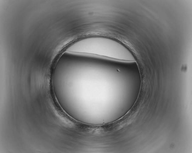 X0000091290446200708101029