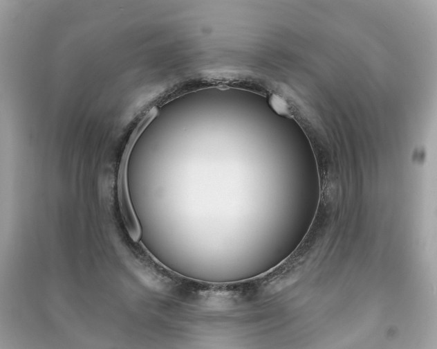 X0000091290448200708101029