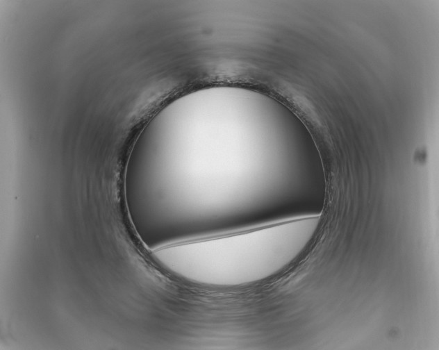X0000091290450200708101029