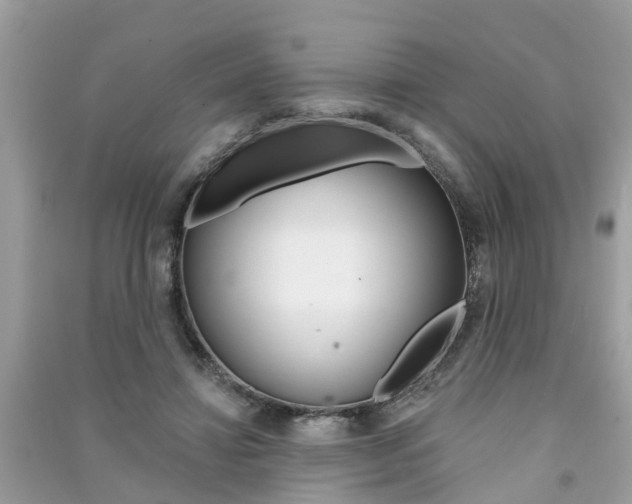 X0000091290452200708101029
