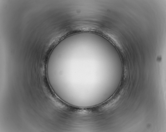 X0000091290453200708101029