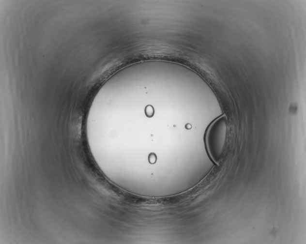 X0000091290454200708101030