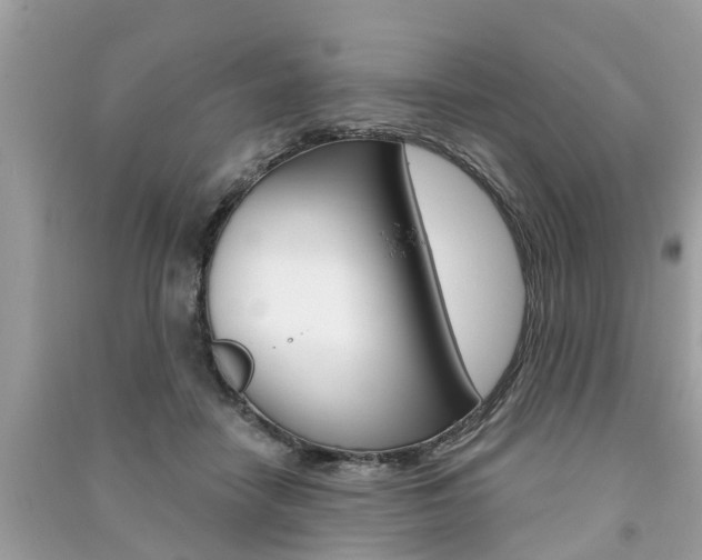 X0000091290458200708101030
