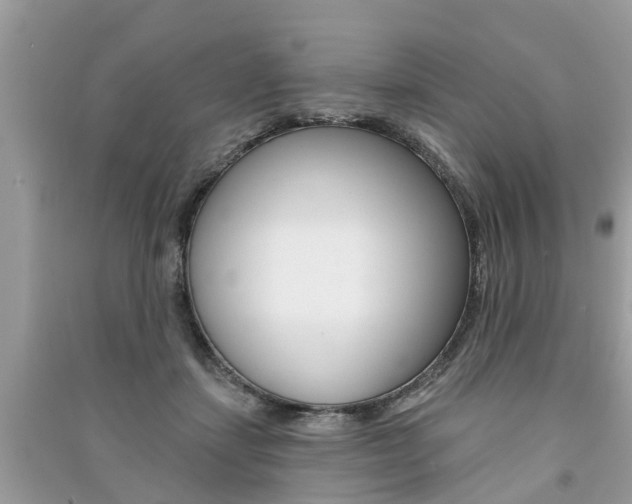 X0000091290459200708101030