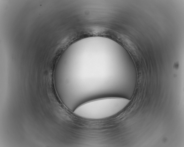 X0000091290461200708101030