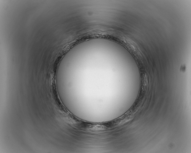 X0000091290463200708101030