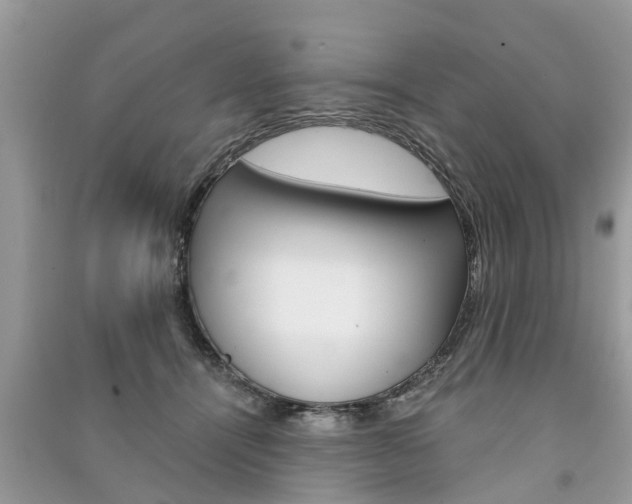 X0000091290464200708101030